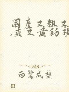 国产又粗又猛又,爽又黄的视频在线观