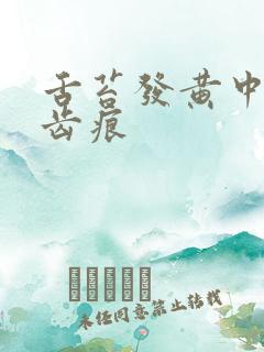 舌苔发黄中间有齿痕