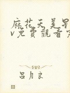 麻花天美星空mv免费观看完整