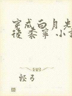 穿成白月光替身后 黍宁 小说