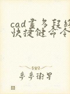 cad画多段线快捷键命令