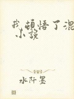 我顿悟了混沌体 小说