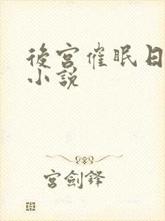 后宫催眠日记 小说