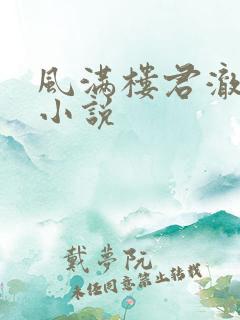 风满楼君澈原著小说