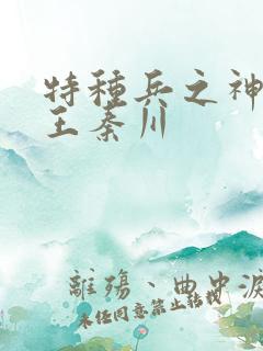 特种兵之神级兵王秦川