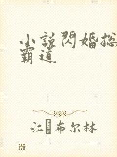 小说闪婚总裁太霸道