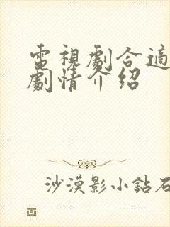 电视剧合适婚姻剧情介绍