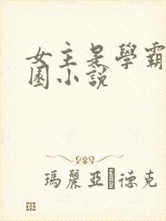 女主是学霸的校园小说