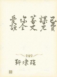 爱你蓄谋已久小说全文免费看