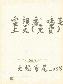 电视剧 鸡毛飞上天(免费)