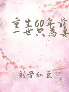 重生60年前这一世只为妻儿后续
