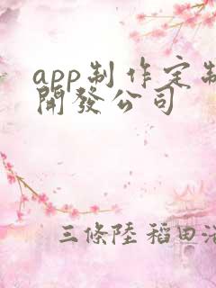 app制作定制开发公司