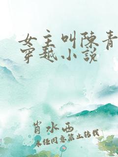 女主叫陈青怡的穿越小说