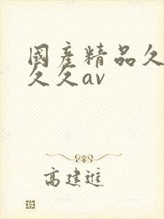 国产精品久久久久久av