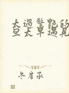 太过惊艳的人一旦太早遇见