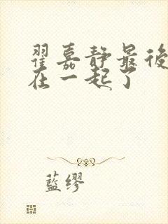 翟嘉静最后和谁在一起了