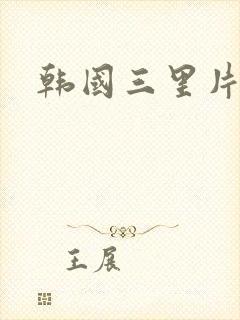 韩国三里片