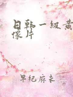 日韩一级黄色录像片