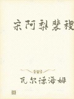 宋阿梨裴稷小说