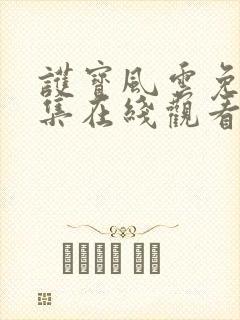 护宝风云免费全集在线观看