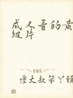 成人看的黄色一级片