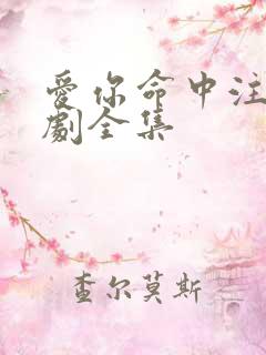 爱你命中注定短剧全集