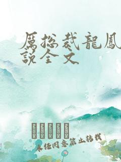 厉总裁龙凤胎小说全文