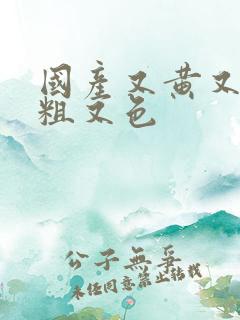 国产又黄又猛又粗又色