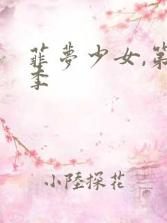 菲梦少女,第三季