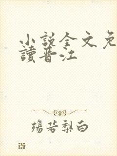 小说全文免费阅读晋江