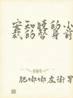 安知晓的小说总裁的替身前妻