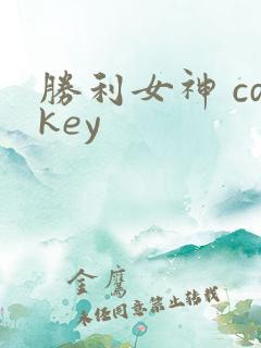 胜利女神 cdkey