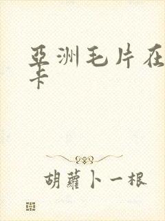 亚洲毛片在线不卡