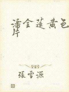 潘金莲黄色一级片