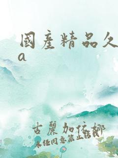 国产精品久久久a