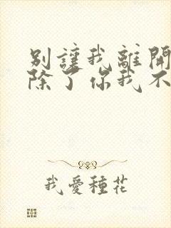 别让我离开你,除了你我不能感到