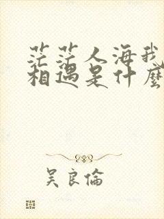 茫茫人海我和你相遇是什么歌