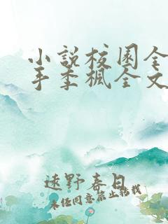 小说校园全能高手季枫全文阅