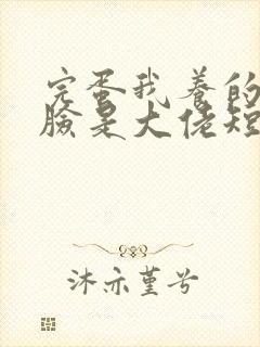 完蛋我养的小白脸是大佬短剧结局