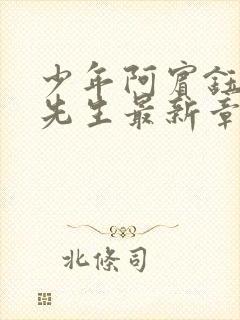 少年阿宾钰慧胡先生最新章节更新内