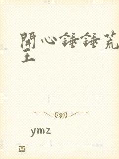 开心锤锤荒岛的王