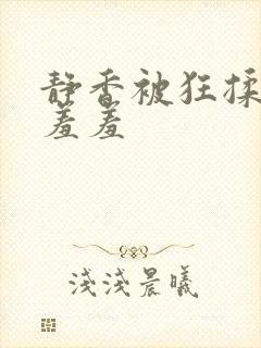 静香被狂揉下面羞羞