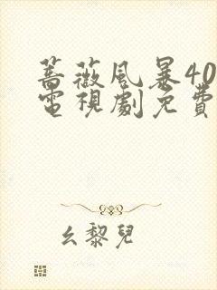 蔷薇风暴40集电视剧免费观看