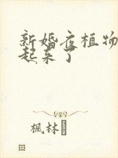 新婚夜植物人站起来了