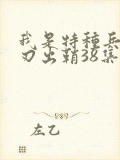 我是特种兵之利刃出鞘38集