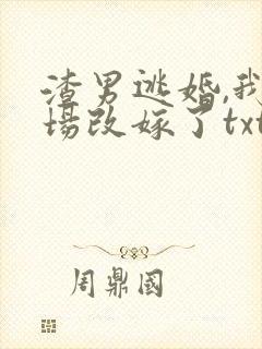 渣男逃婚,我当场改嫁了txt下载全本