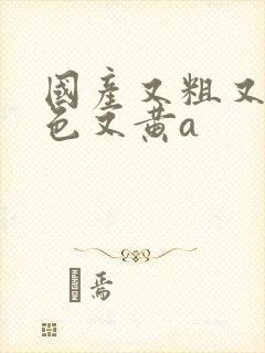 国产又粗又猛又色又黄a