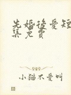 先婚后爱短剧全集免费