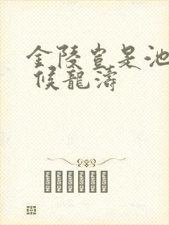 金陵岂是池中物 候龙涛