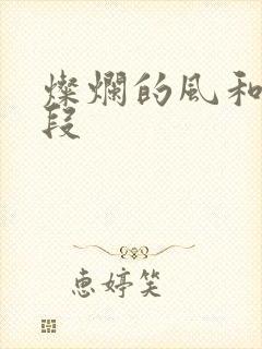 灿烂的风和海片段